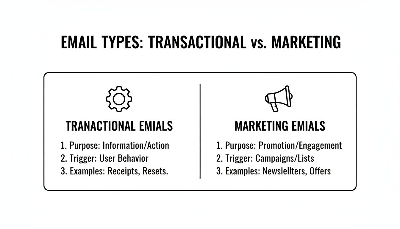 A graphic comparing transactional versus marketing email types, detailing their purpose, trigger, and examples.