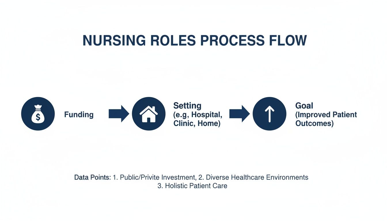 A process flow diagram illustrating nursing roles from funding to improved patient outcomes in various settings.