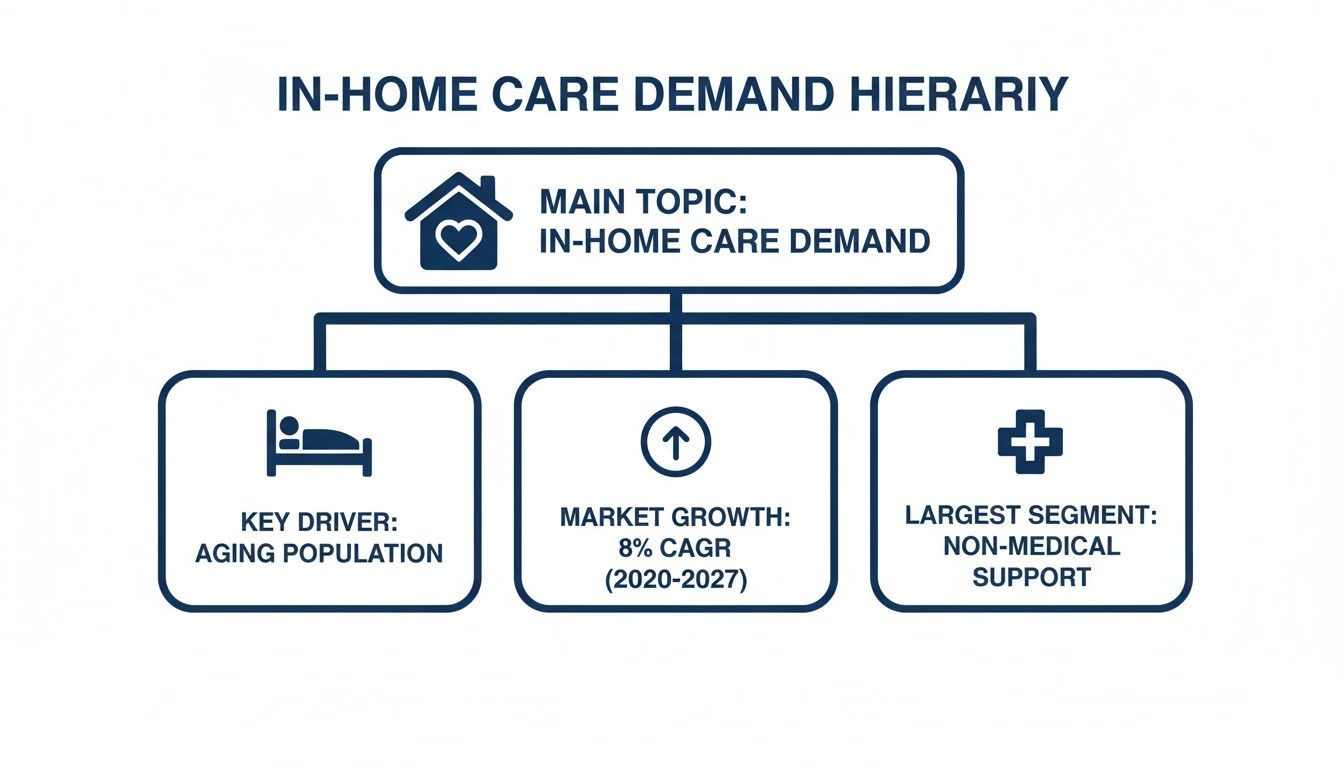 An infographic detailing the in-home care demand hierarchy, showing its key drivers, market growth, and largest segment.