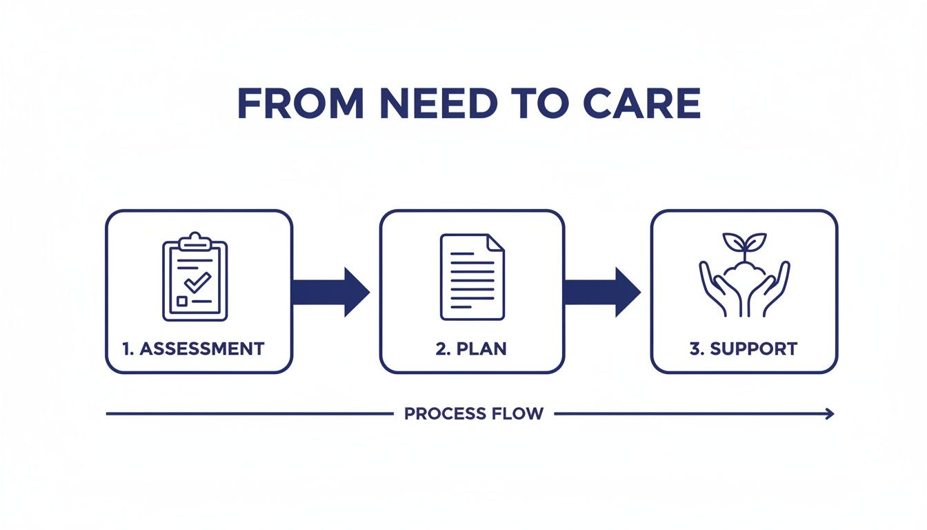 Diagram illustrating the 'From Need to Care' process flow with three steps: Assessment, Plan, and Support.