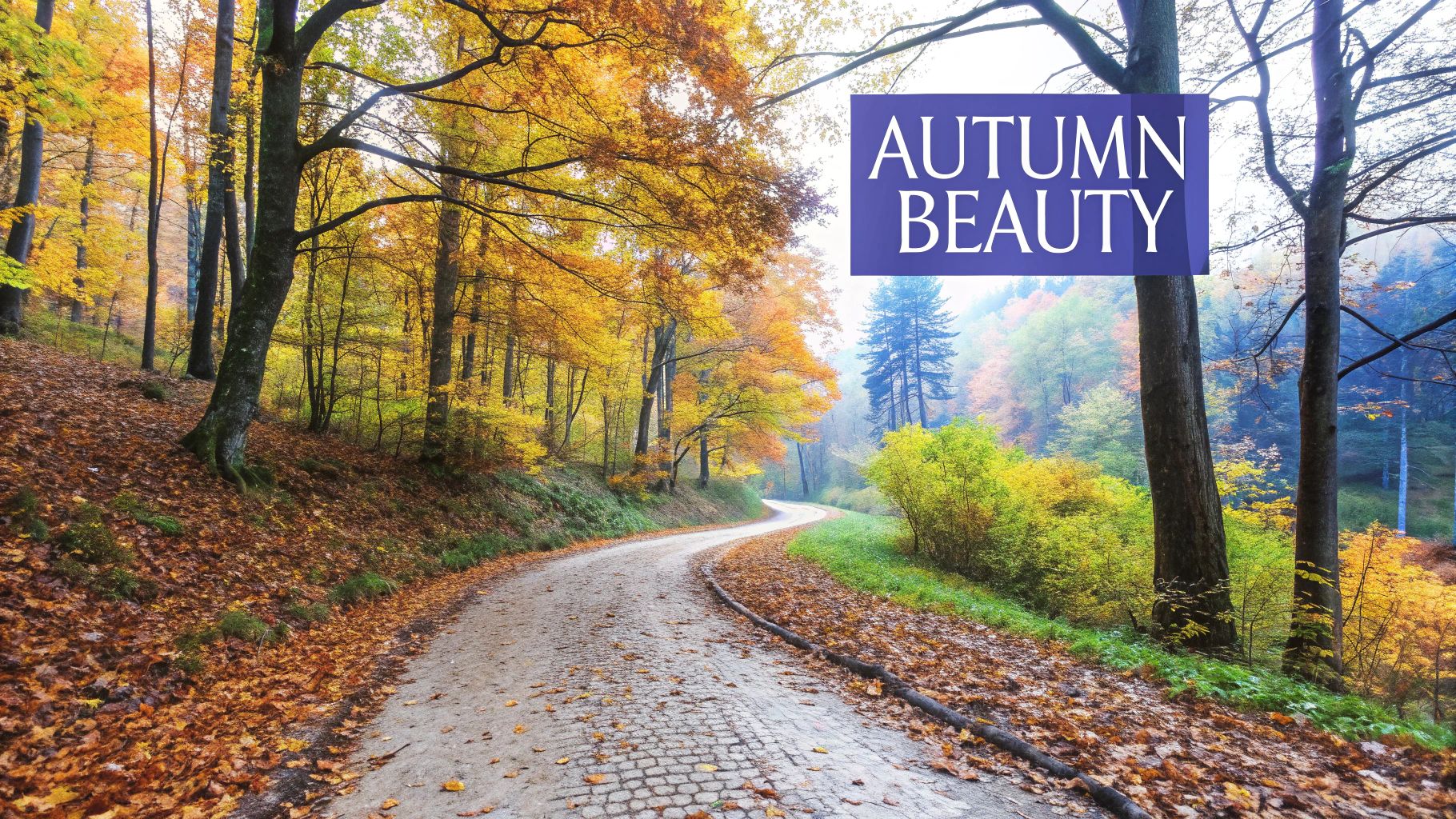 Fall (September-November): Shoulder Season with Stunning Foliage