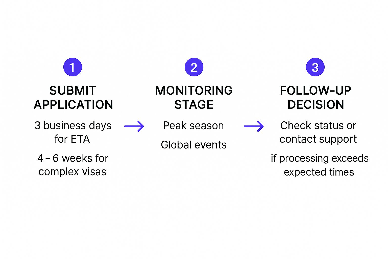 Infographic about visa application status
