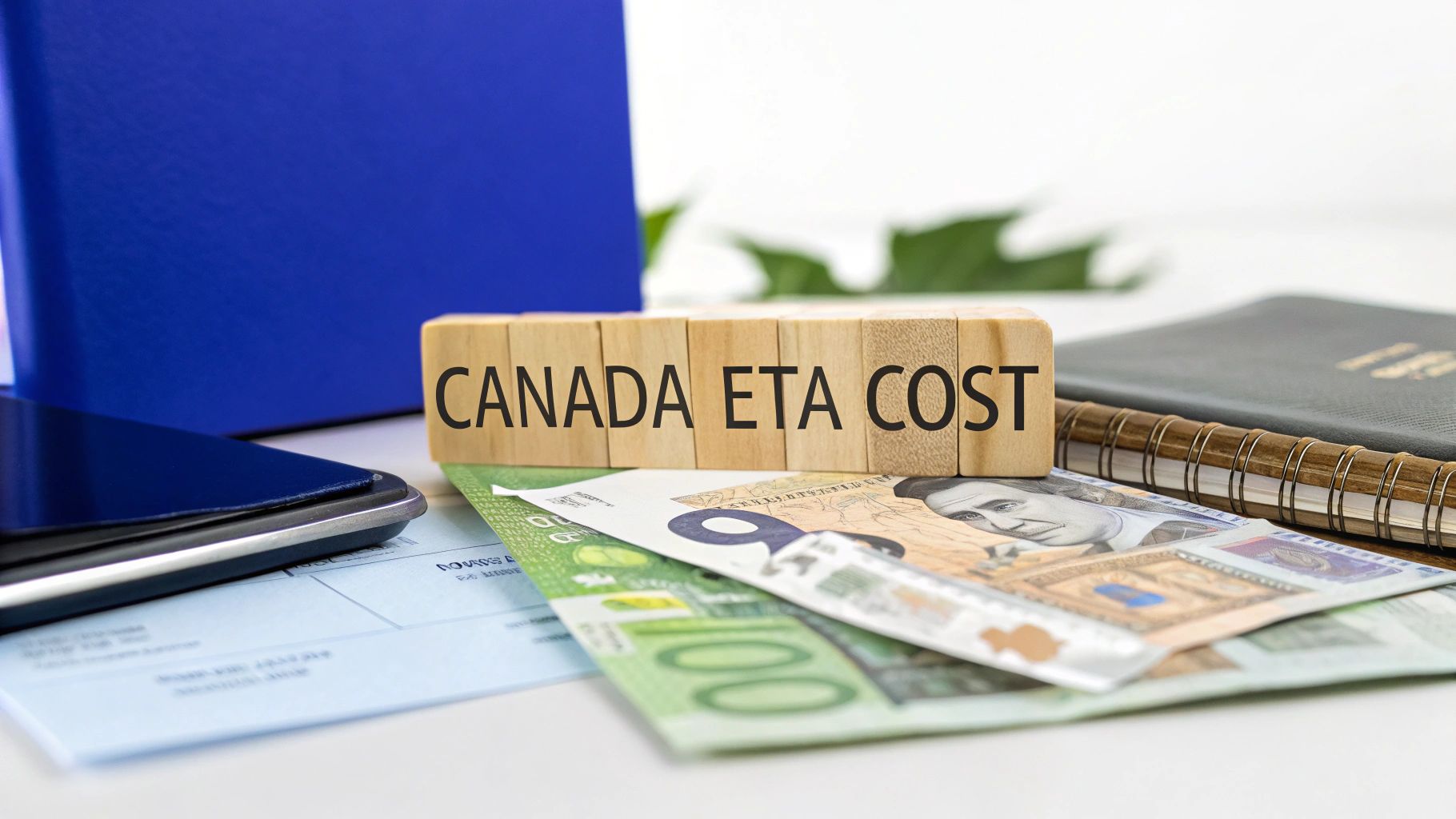 Understanding The Canada eTA Cost