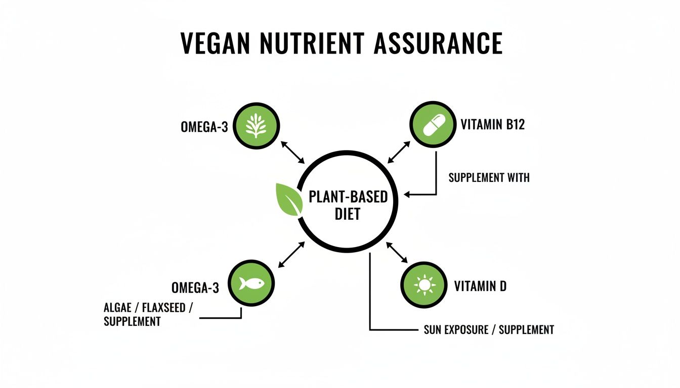Diagram illustrating vegan nutrient assurance, highlighting Omega-3, Vitamin B12, and Vitamin D for a plant-based diet.