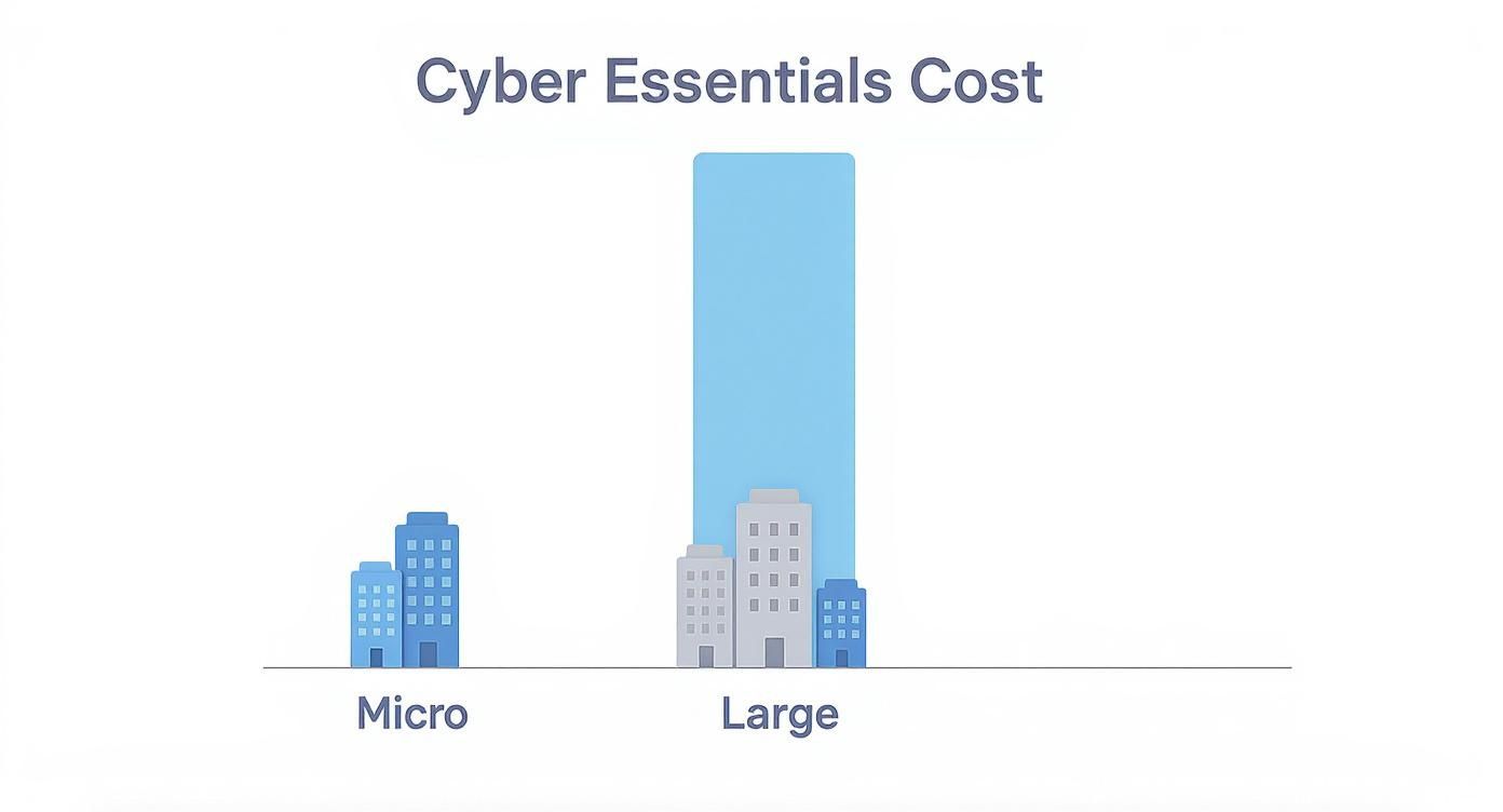 Infographic Showing The Cyber Essentials Certification Cost For Micro-Organisations At £320 And Large Organisations At £600