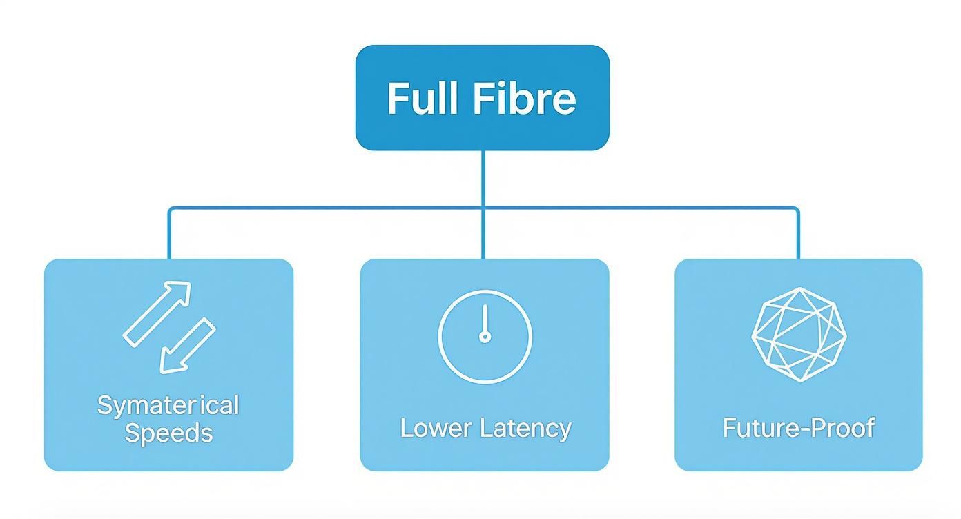 What Is Fibre Optic Broadband? A Business Guide Infographic About What Is Fibre Optic Broadband