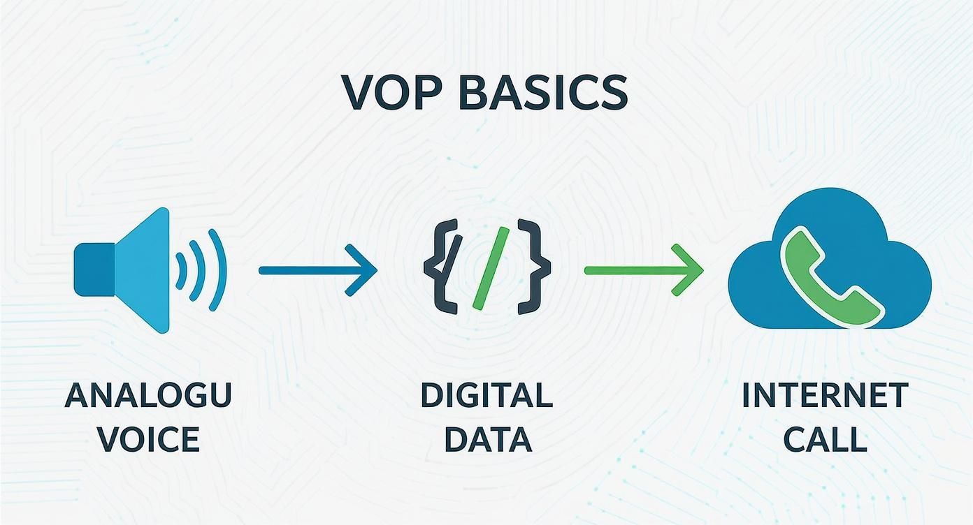 Diagram Illustrating Voip Basics: Analog Voice Converts To Digital Data For An Internet Call.