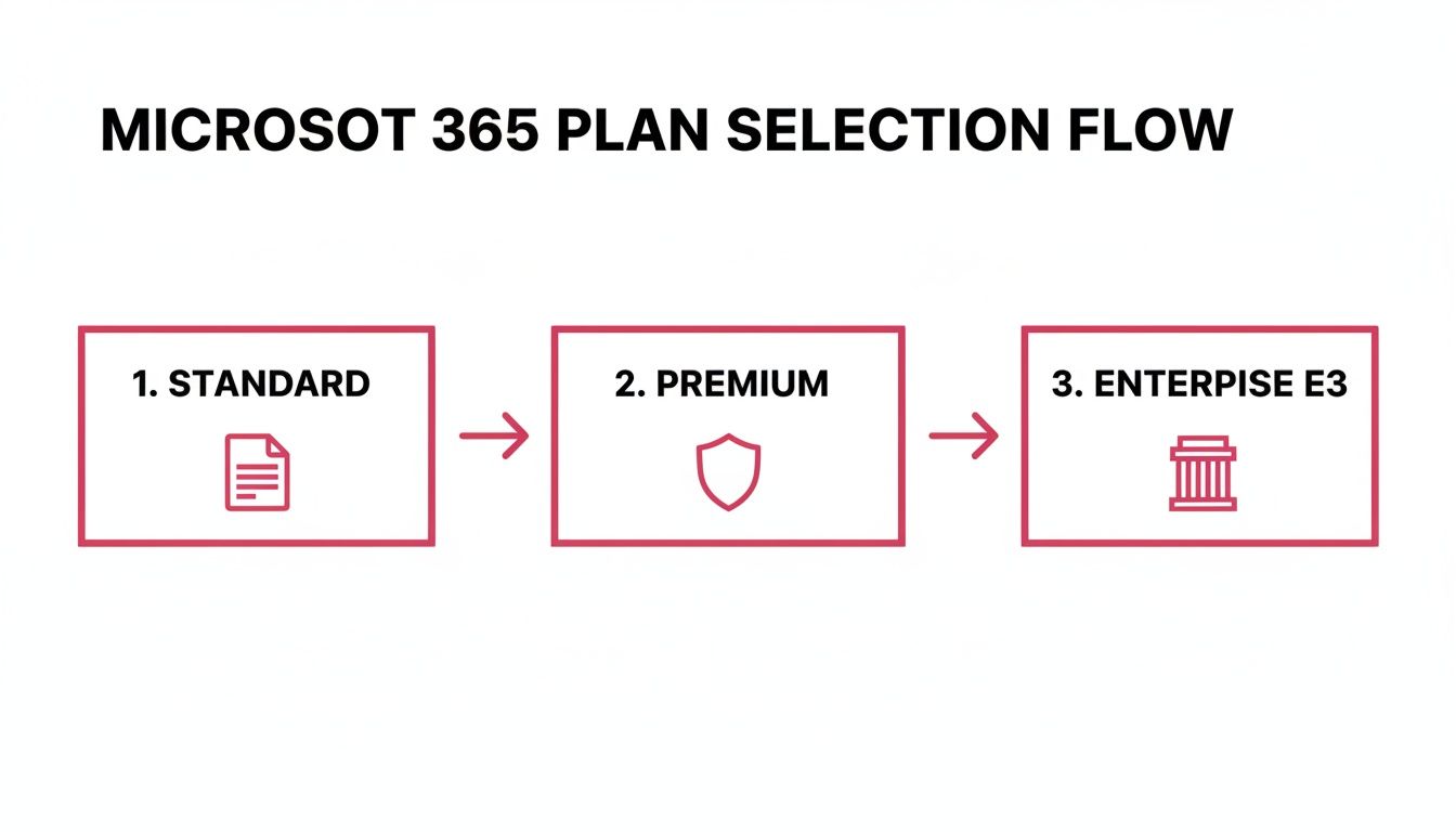 A Flowchart Illustrates The Microsoft 365 Plan Selection, Progressing From Standard To Premium And Enterprise E3.