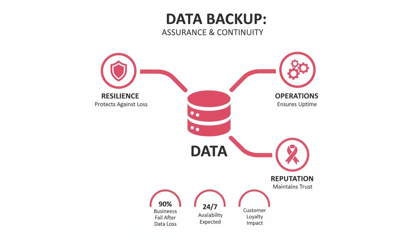 Infographic Illustrating Data Backup Importance For Resilience, Operations, Reputation, And Business Continuity.