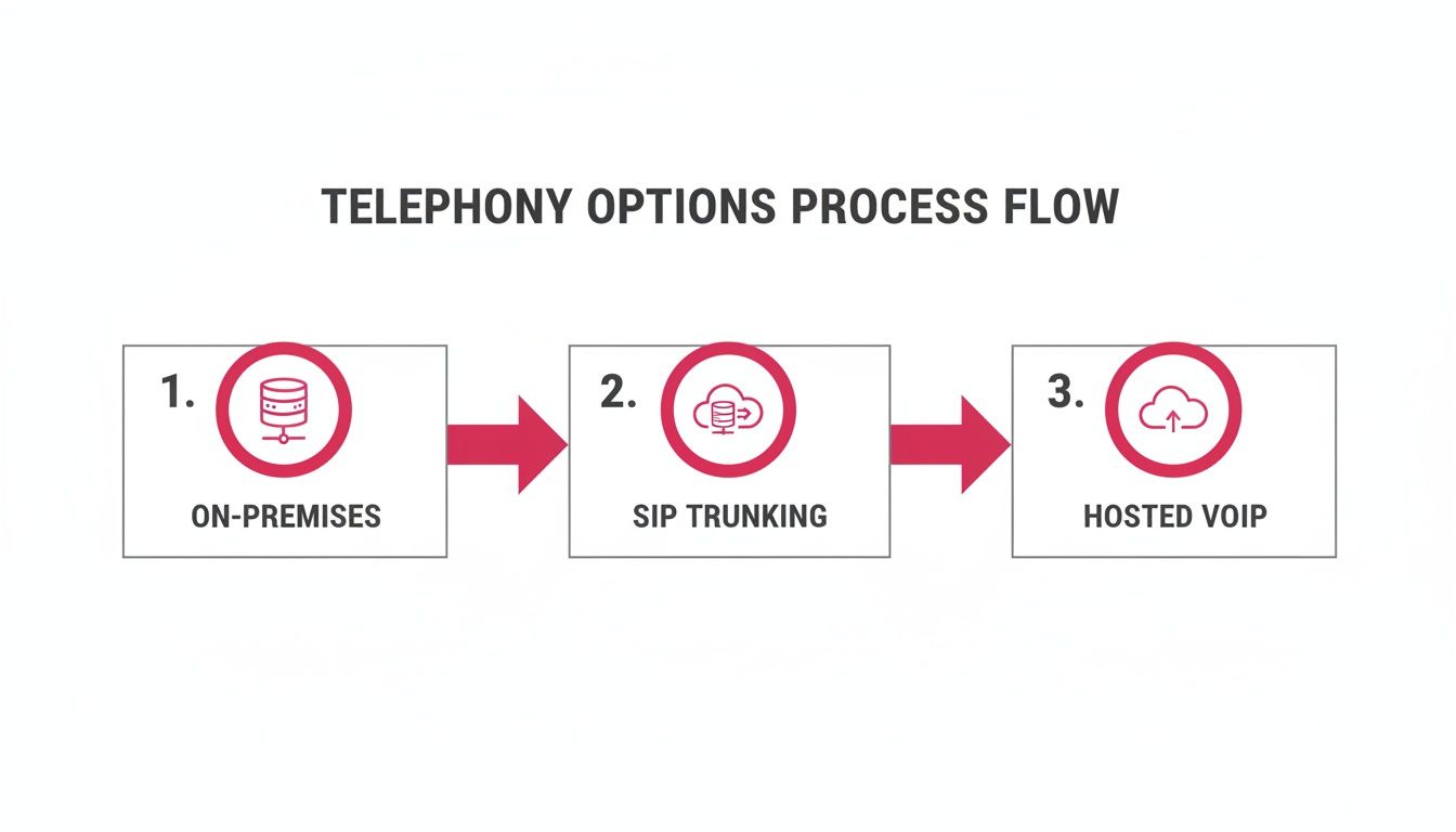 A Guide To Hosted Voip Phone Systems For Uk Businesses A Process Flow Diagram Illustrating Telephony Options: On-Premises, Sip Trunking, And Hosted Voip.