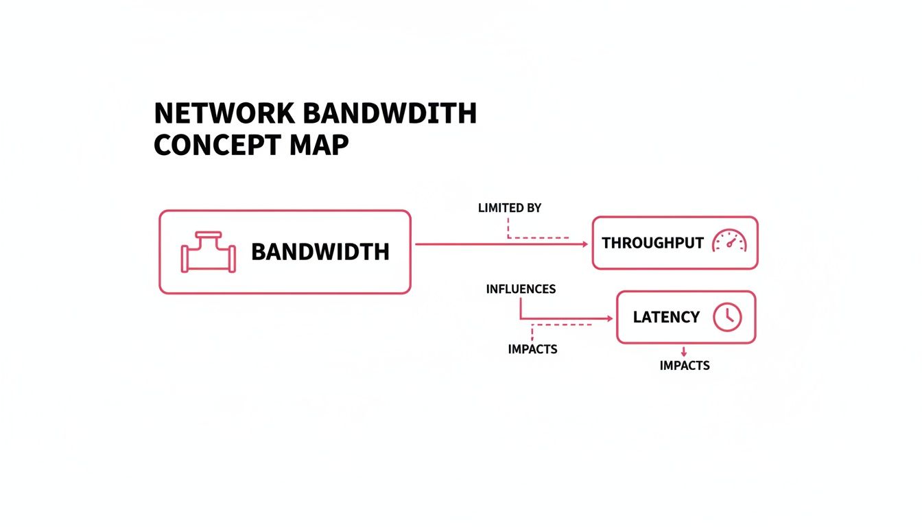 Discover What Is Network Bandwidth: A Practical Guide Screenshot From Https://Www.speedtest.net/