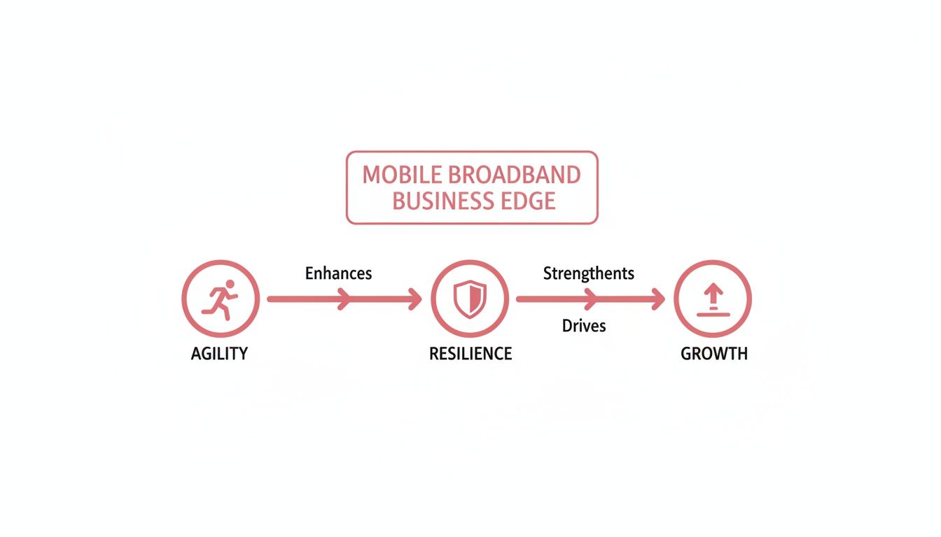 Diagram Showing Mobile Broadband Business Edge Leading To Agility, Enhancing Resilience, And Driving Growth.