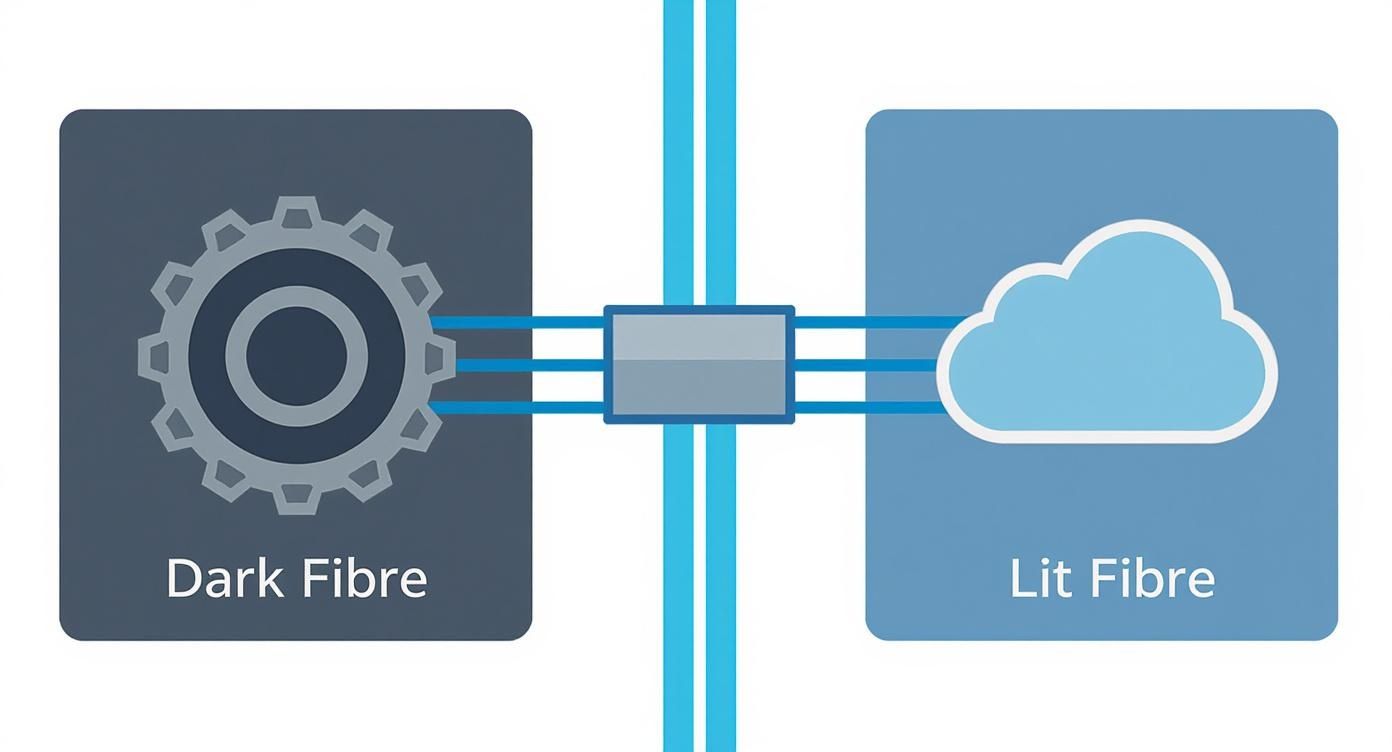 What Is Dark Fibre: Understand Its Power For Your Network An Illustration Comparing Dark Fibre, Represented By A Gear Icon, With Lit Fibre, Represented By A Cloud, Connected By Blue Cables.