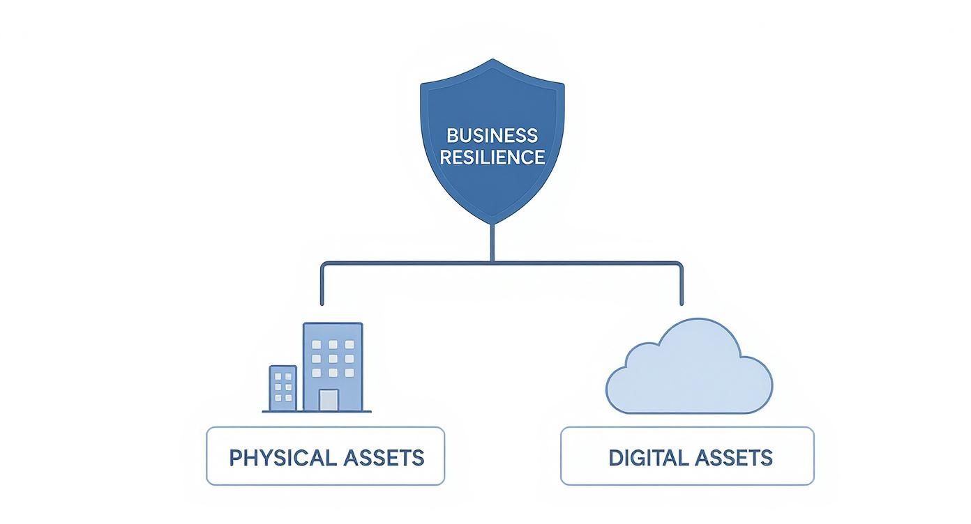 Infographic about cloud backup solutions for small business
