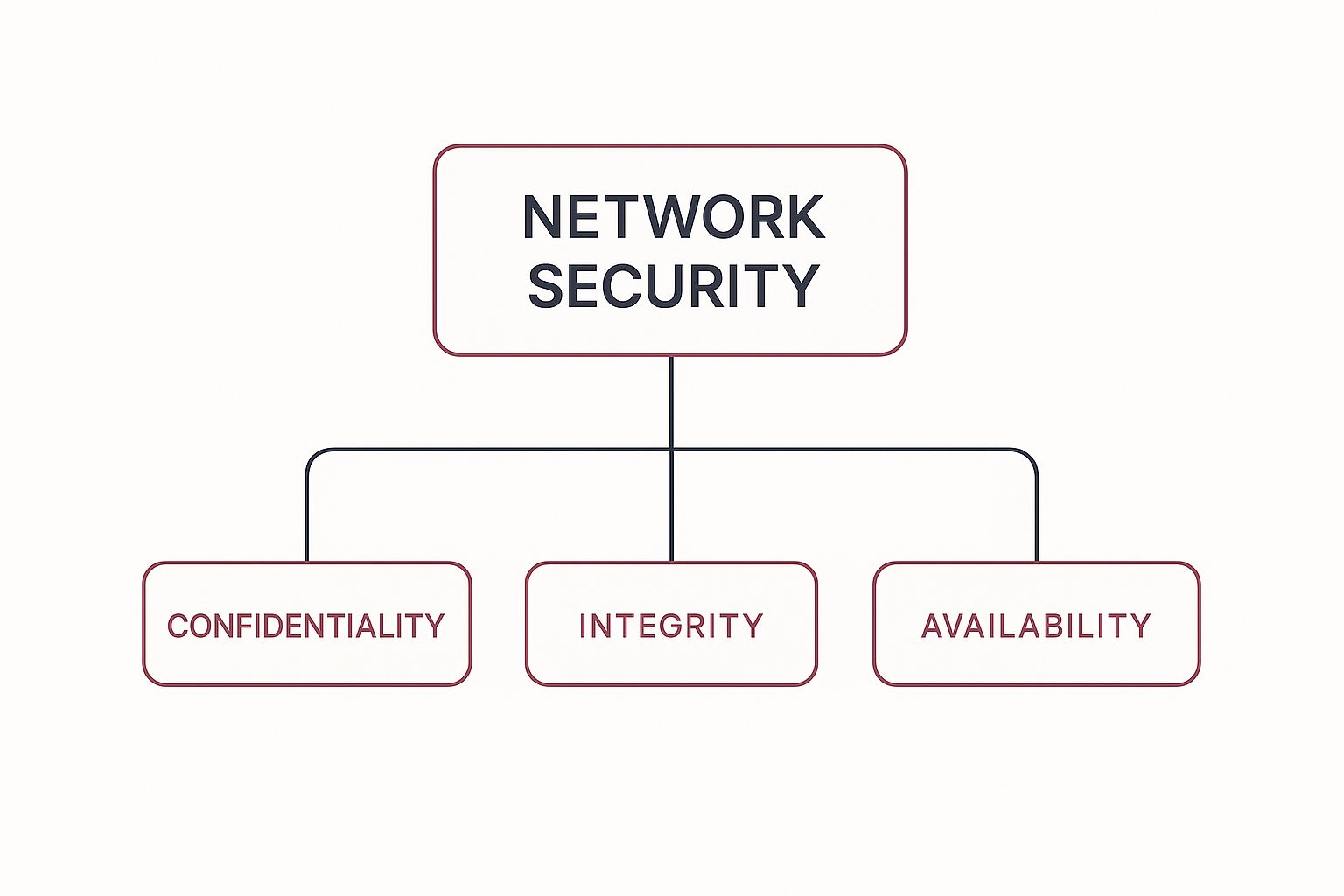 Infographic About What Is Network Security
