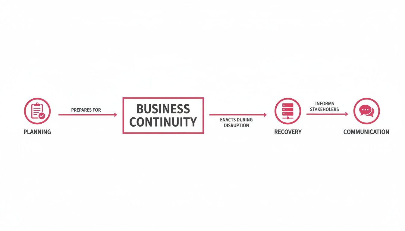 Business Continuity Service For Uk Professional Services: A Practical Guide A Flowchart Illustrating The Business Continuity Process From Planning, To Recovery, And Communication.