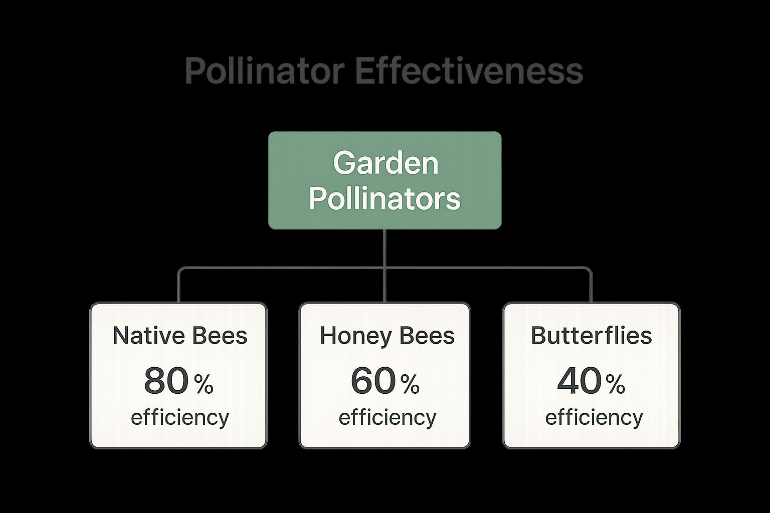 Infographic about pollinators