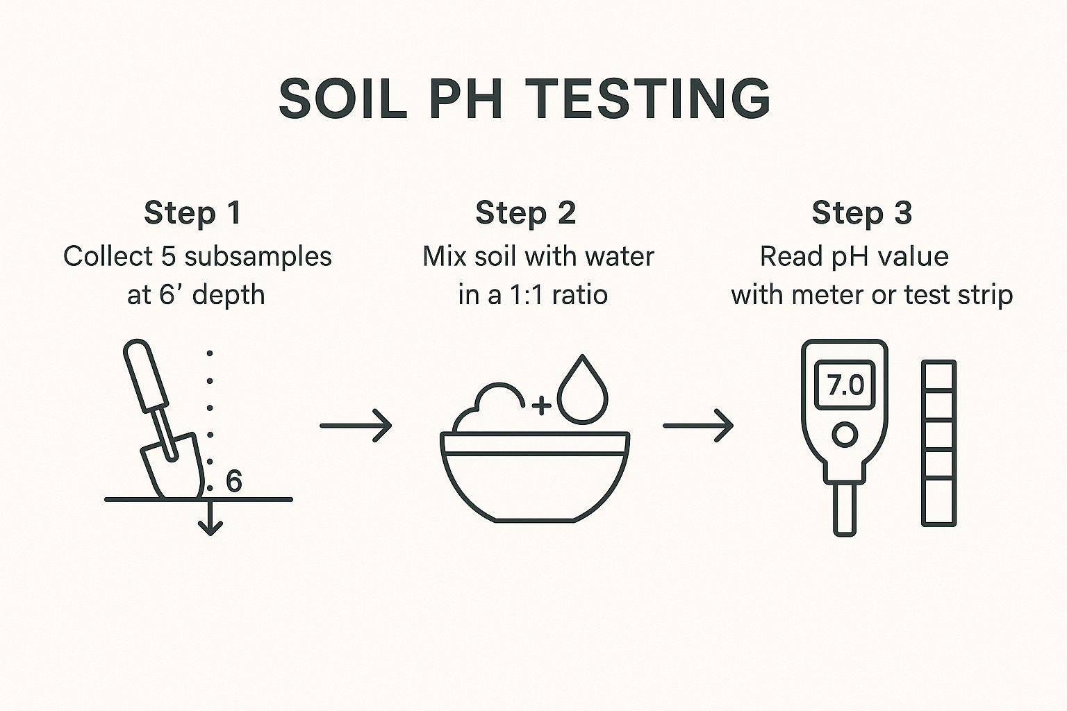 An infographic illustrating the three simple steps to test soil pH: collecting samples, mixing with water, and reading the value.