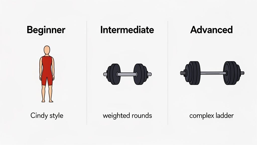 An image illustrating three CrossFit workout levels: Beginner (Cindy style), Intermediate (weighted rounds), and Advanced (complex ladder).