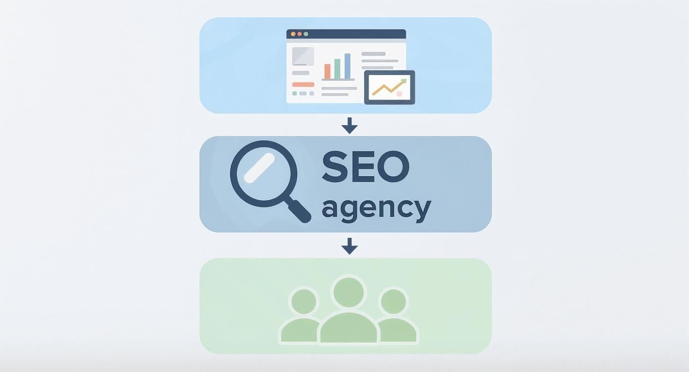 Infographic showing a website at the top, an SEO agency in the middle, and customers at the bottom, connected in a hierarchy.