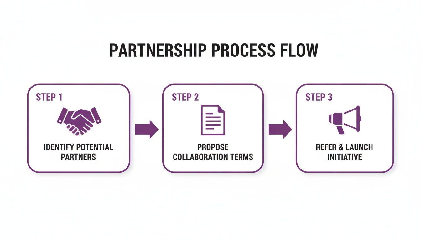 A three-step partnership process flow diagram showing identifying, proposing terms, and launching initiatives.