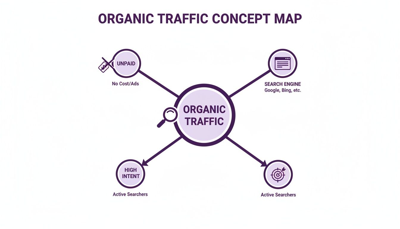 An organic traffic concept map illustrates its four core characteristics: unpaid, search engine sourced, and high intent active searchers.
