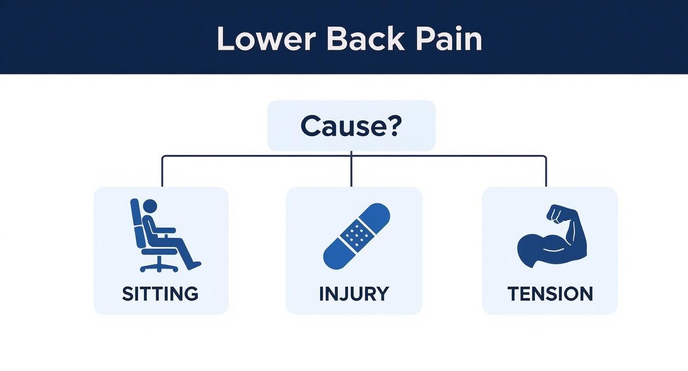 A diagram illustrating common causes of lower back pain, including sitting, injury, and tension.