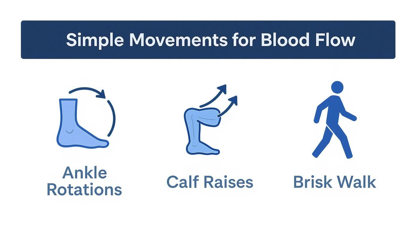 Infographic about how to improve circulation naturally