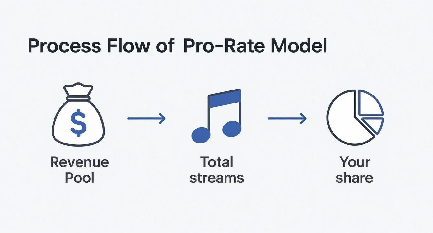 Infographic about how much does an artist make on spotify