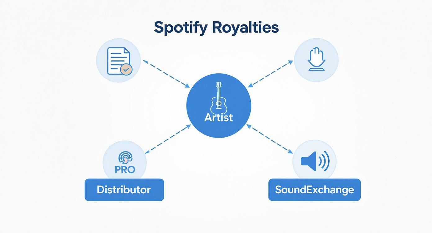 Infographic about how to make money from spotify