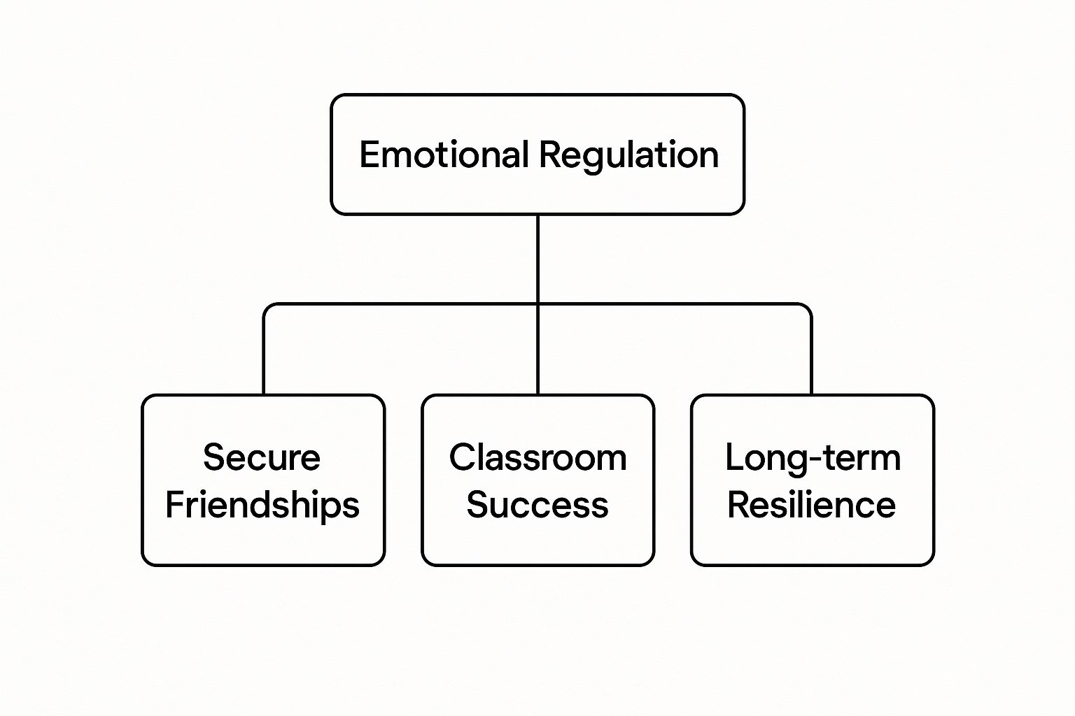 Infographic showing Emotional Regulation as the top node, branching into Secure Friendships, Classroom Success, and Long-term Resilience