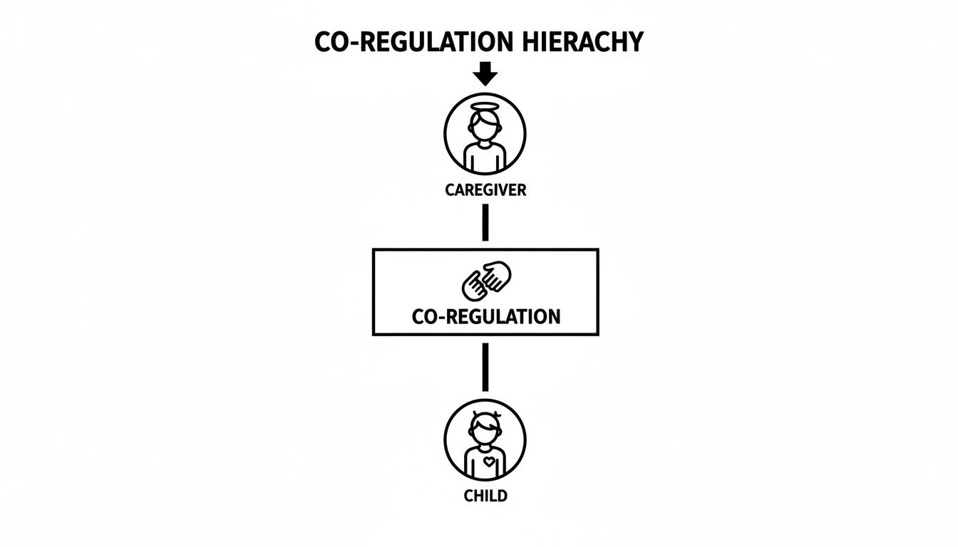 Diagram illustrating the co-regulation hierarchy, showing a caregiver providing co-regulation to a child.