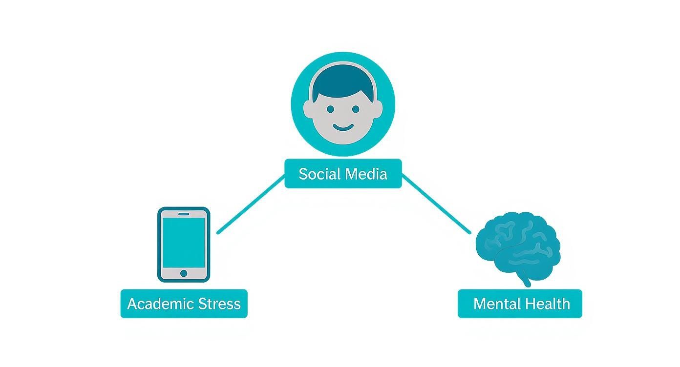 Diagram showing social media's connection to academic stress and mental health.