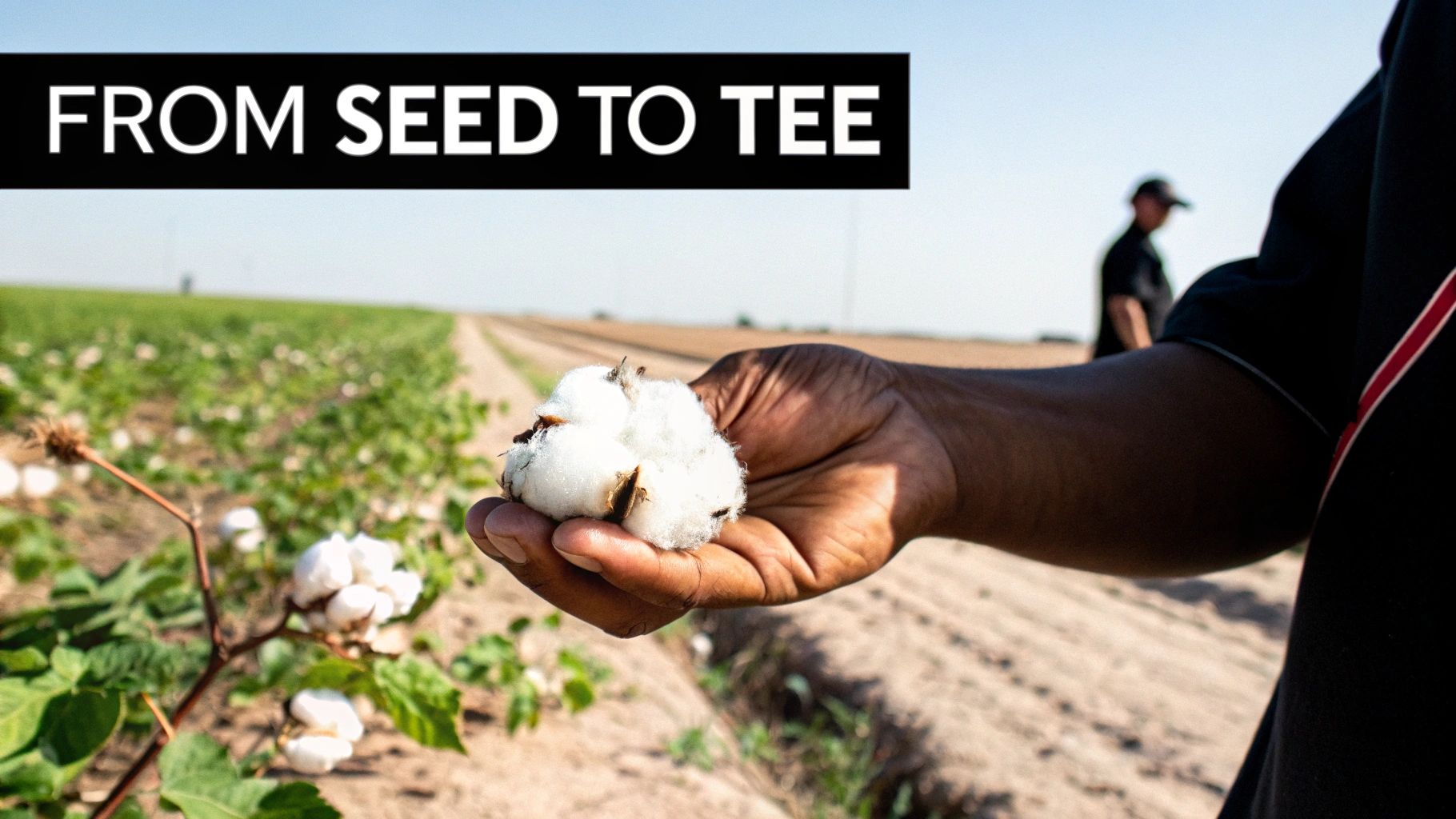 A close-up of a hand holding a fluffy cotton boll in a field, representing 'FROM SEED TO TEE'.