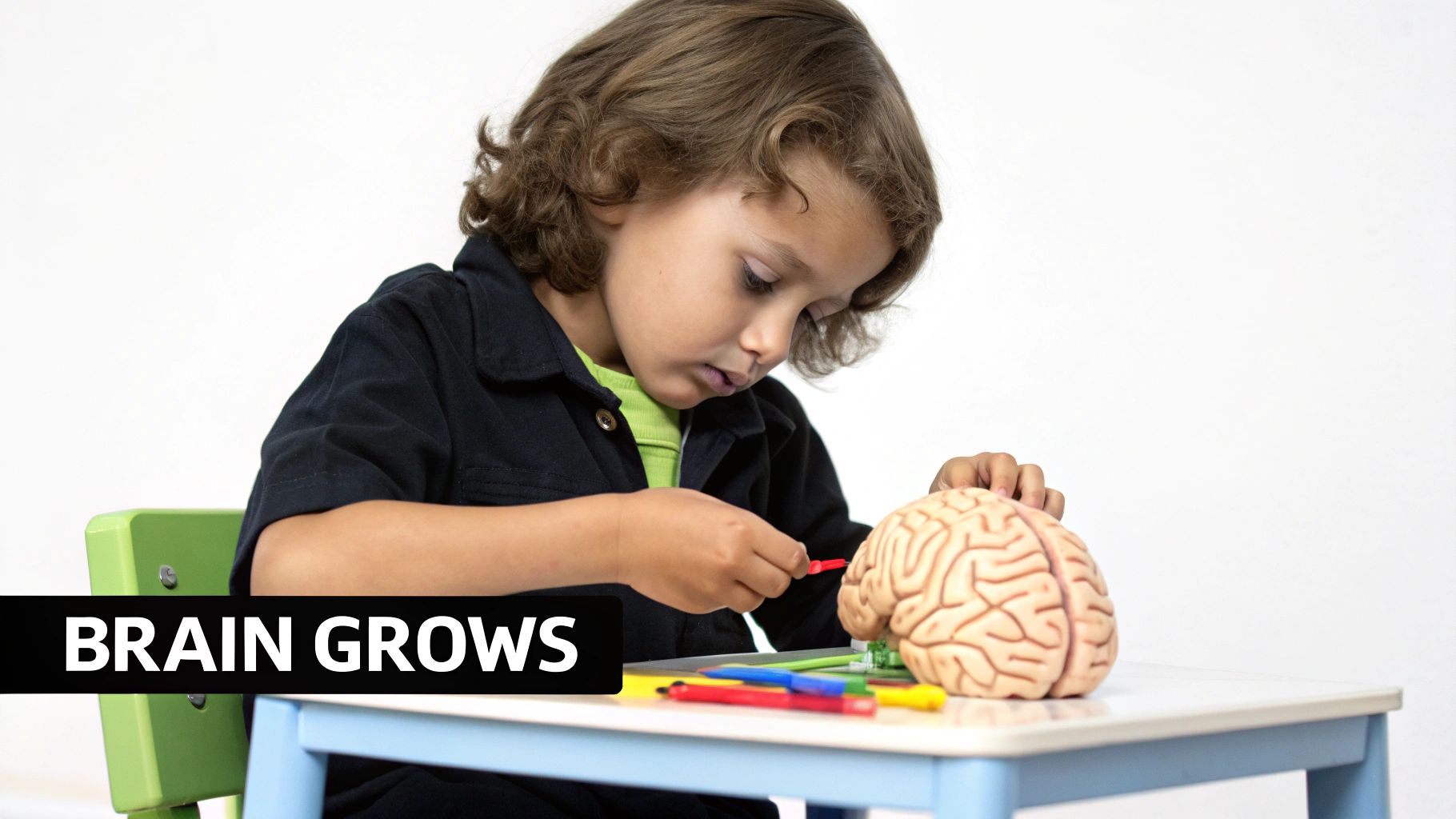 The Brain Plasticity Game