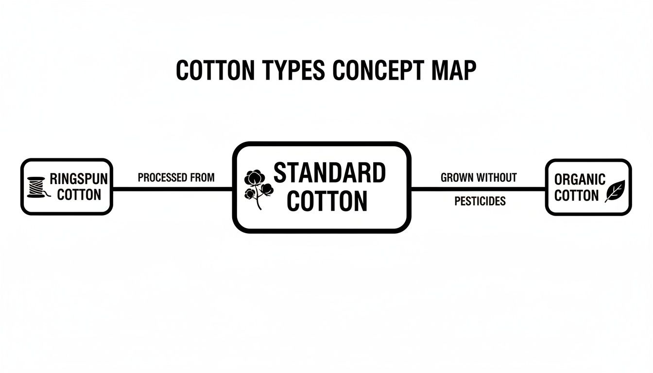 A concept map showing cotton types: Ringspun cotton, Standard cotton, and Organic cotton, with their relationships.