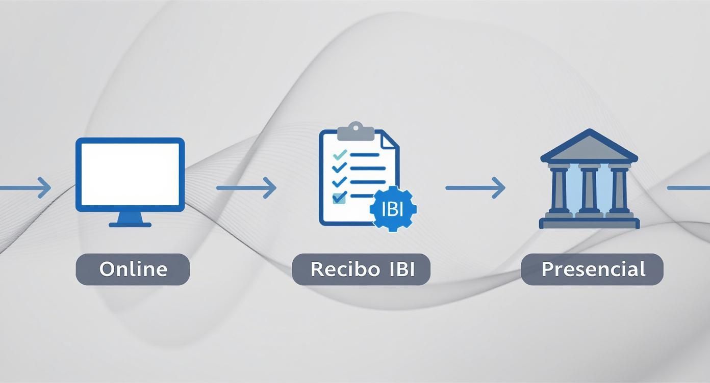Proceso digital de trámite catastral: solicitud online, recibo IBI y atención presencial en oficina