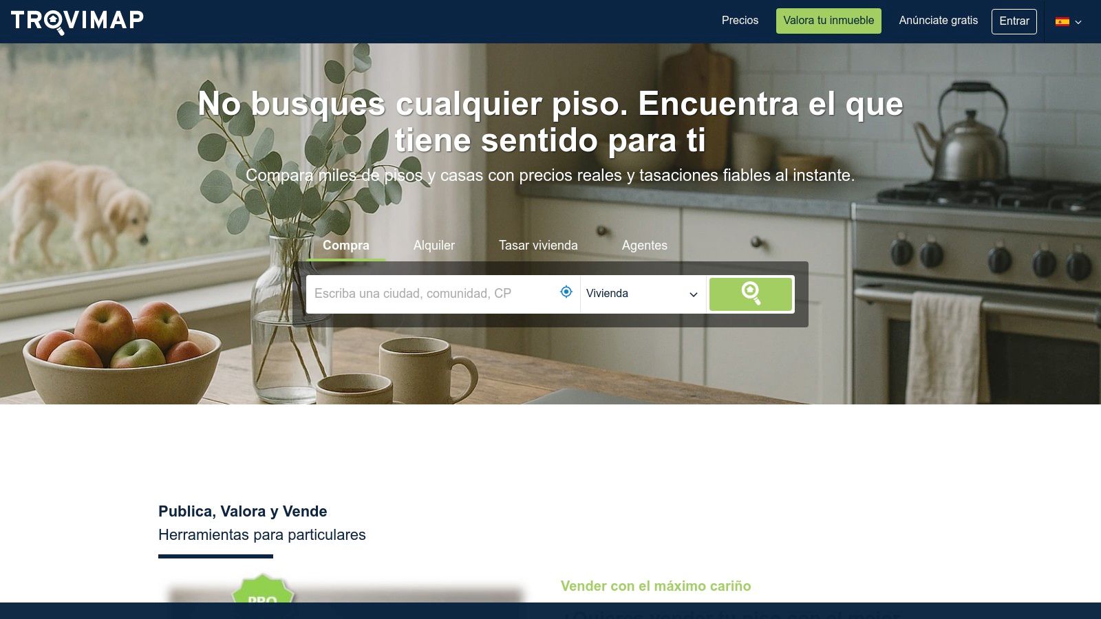 Interfaz de búsqueda de Trovimap