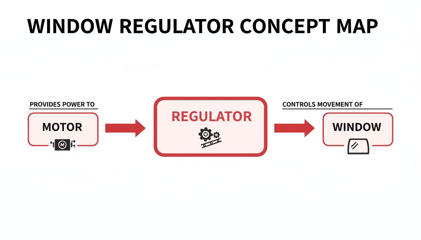 A DIY Guide to Your Car's Window Regulator and Motor – T1A Auto