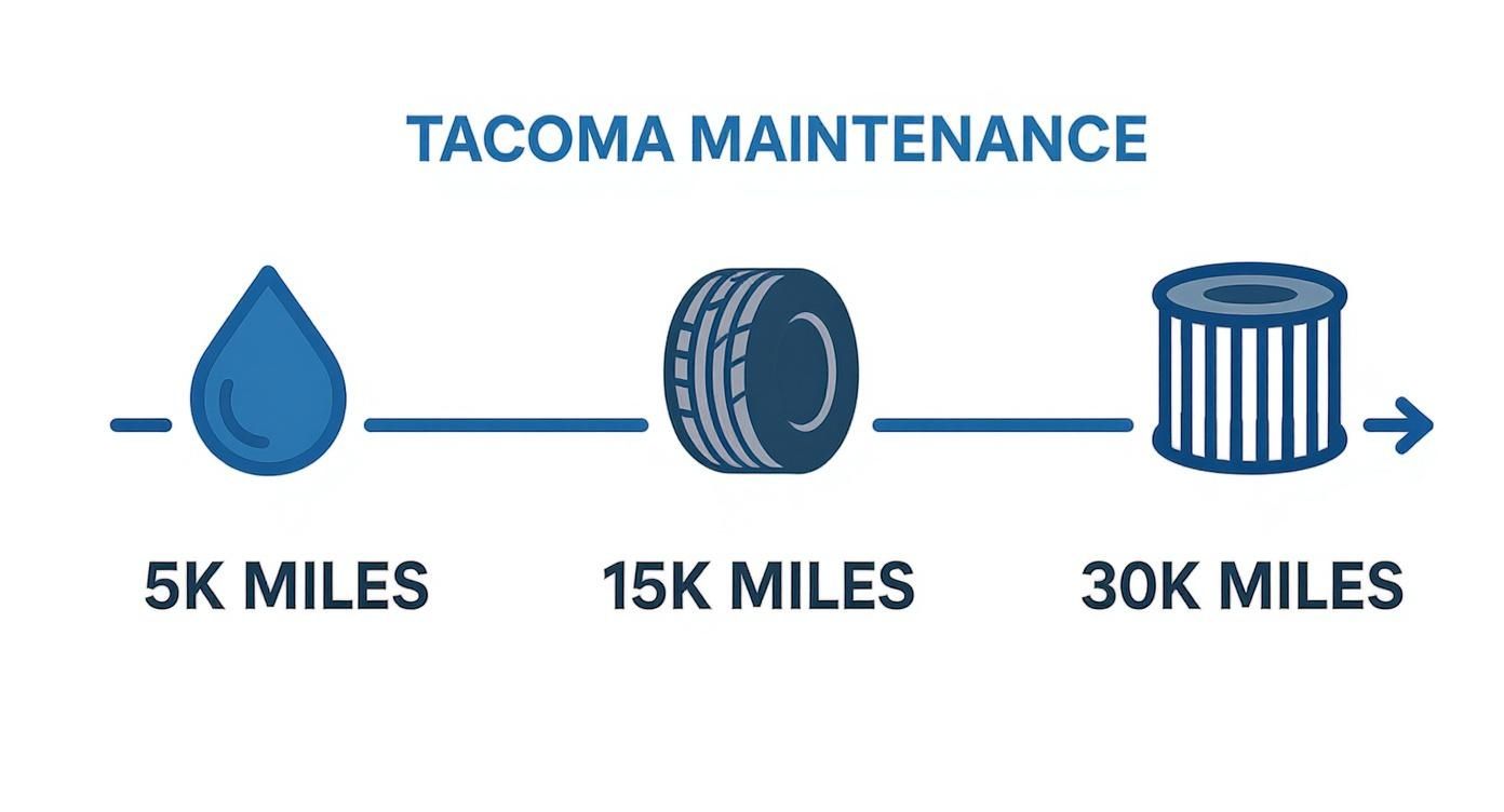 Infographic showing Toyota Tacoma maintenance schedule with icons: oil at 5K, tire at 15K, and filter at 30K miles.