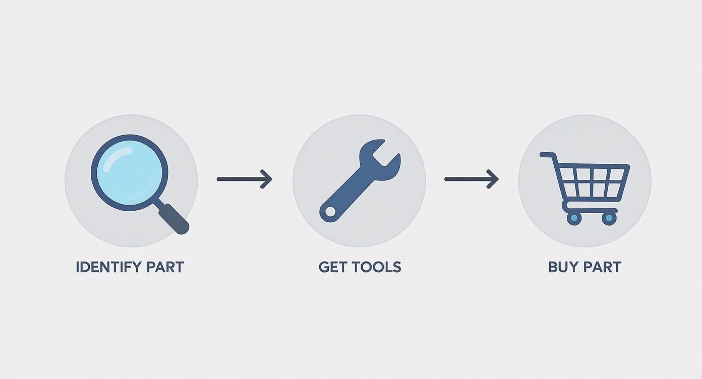 Infographic about how to replace window regulator