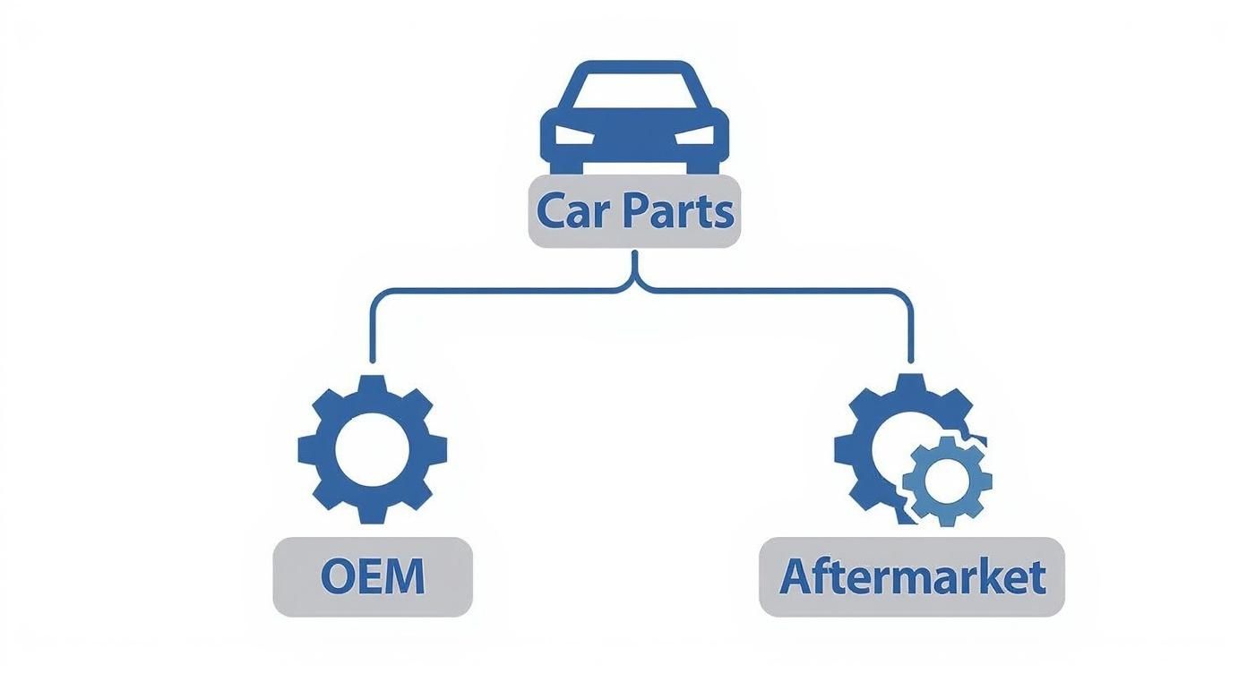 Infographic about aftermarket car part brands