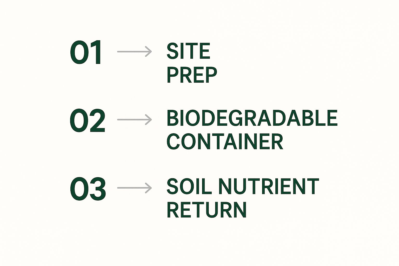 What Is Natural Burial A Return to Earth Image