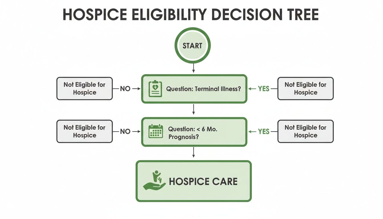 Decision tree illustrating hospice eligibility criteria based on terminal illness and prognosis.