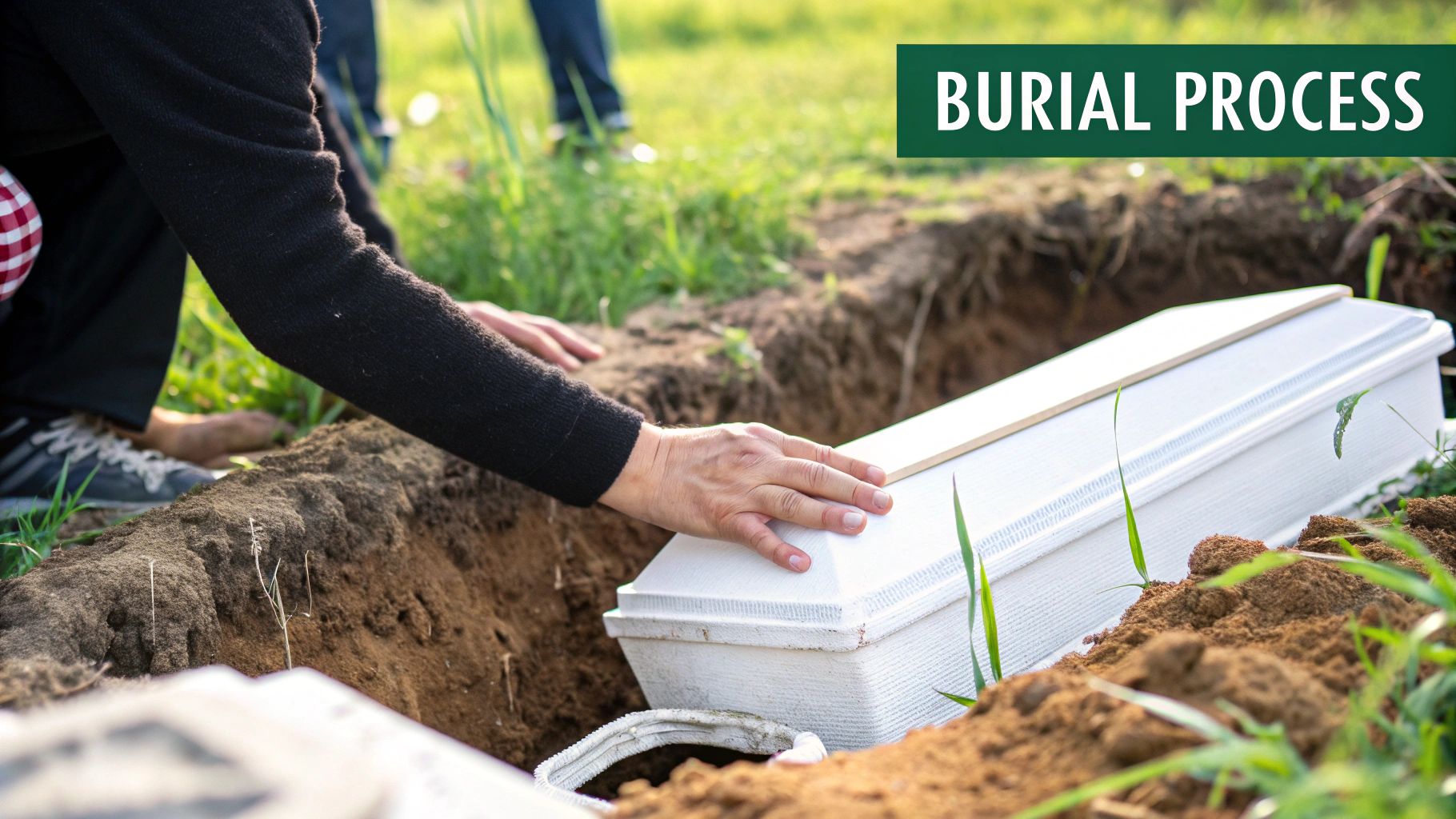 Natural Burial Options for Eco-Friendly Farewells Environmental Benefits of Natural Burial