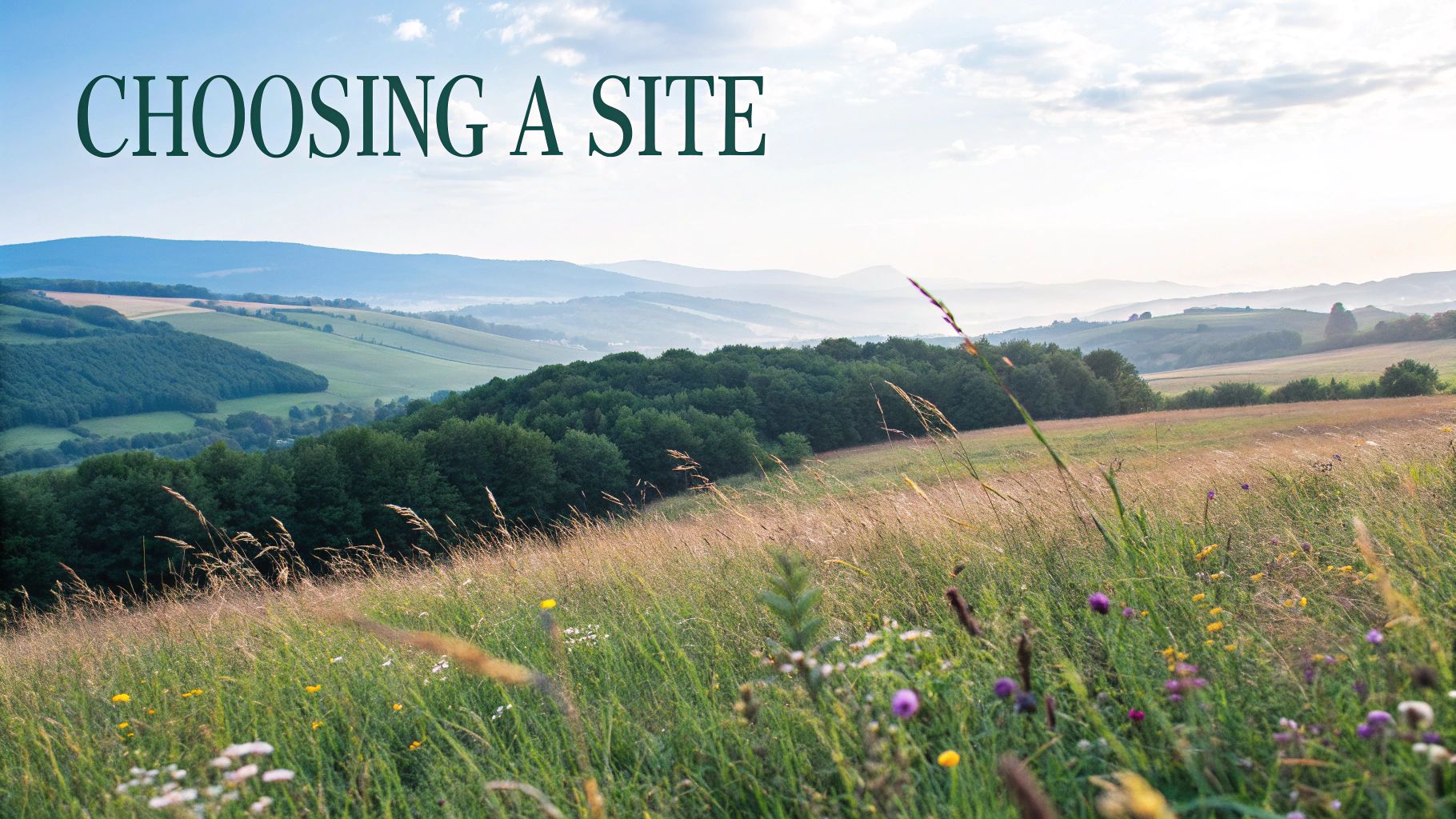 Natural Burial Options for Eco-Friendly Farewells Finding Natural Burial Providers