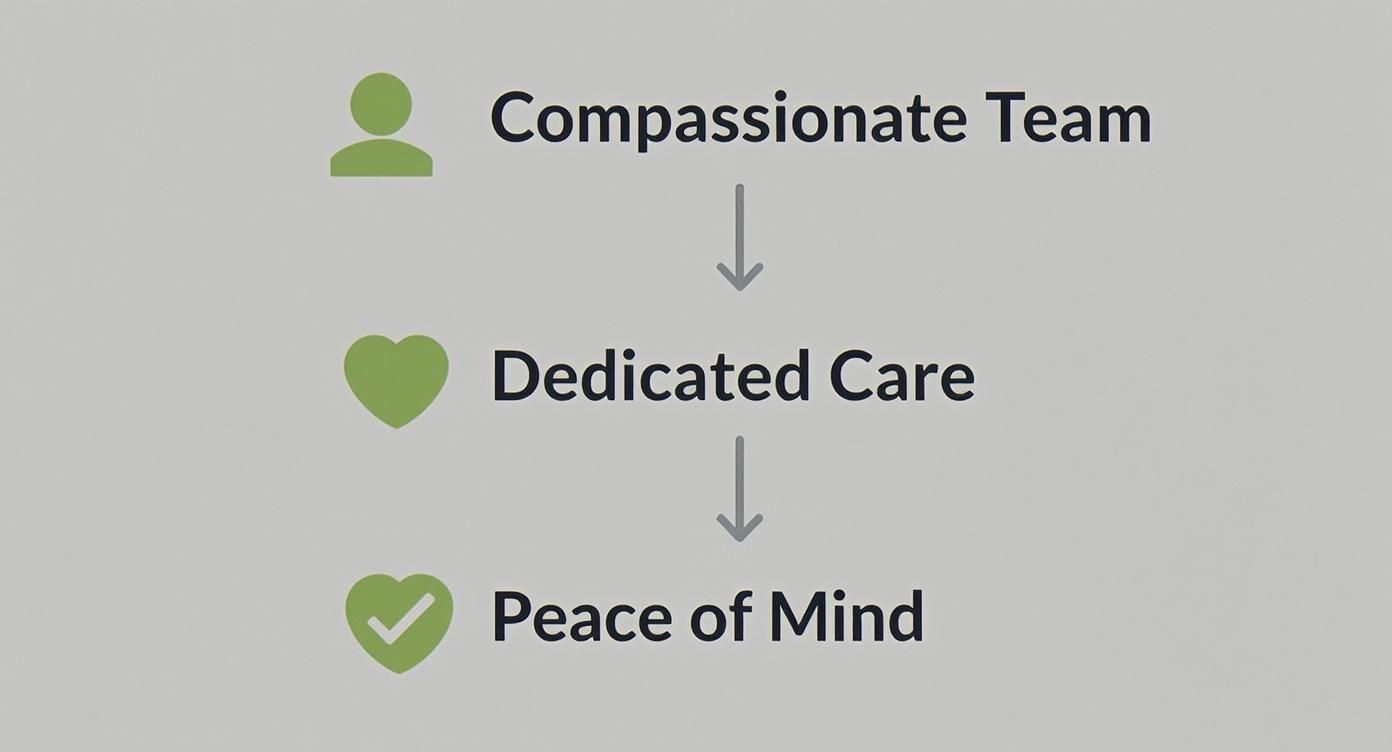 Understanding the Basic Cost of Cremation in Texas A flowchart showing the progression from a compassionate team to dedicated care, ultimately leading to peace of mind.