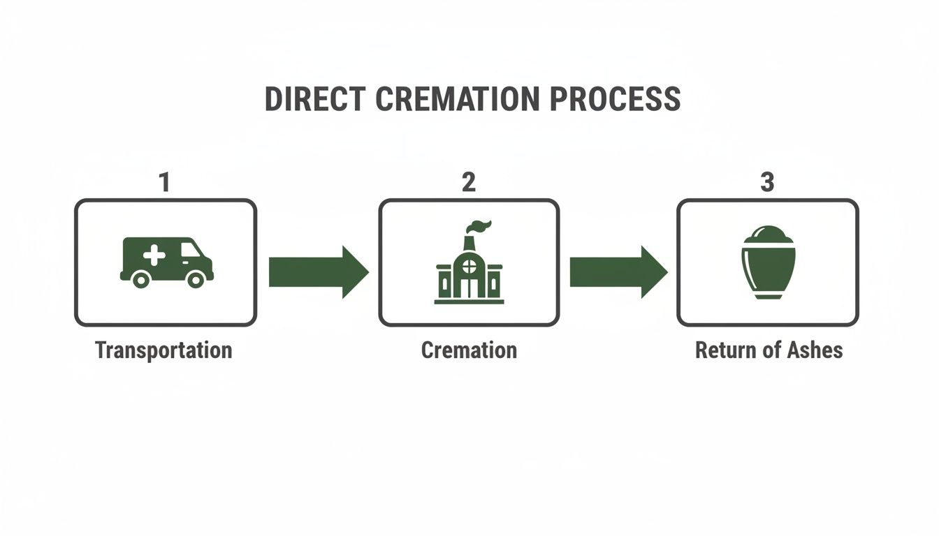 A visual guide illustrating the direct cremation process, from transportation to cremation and return of ashes.