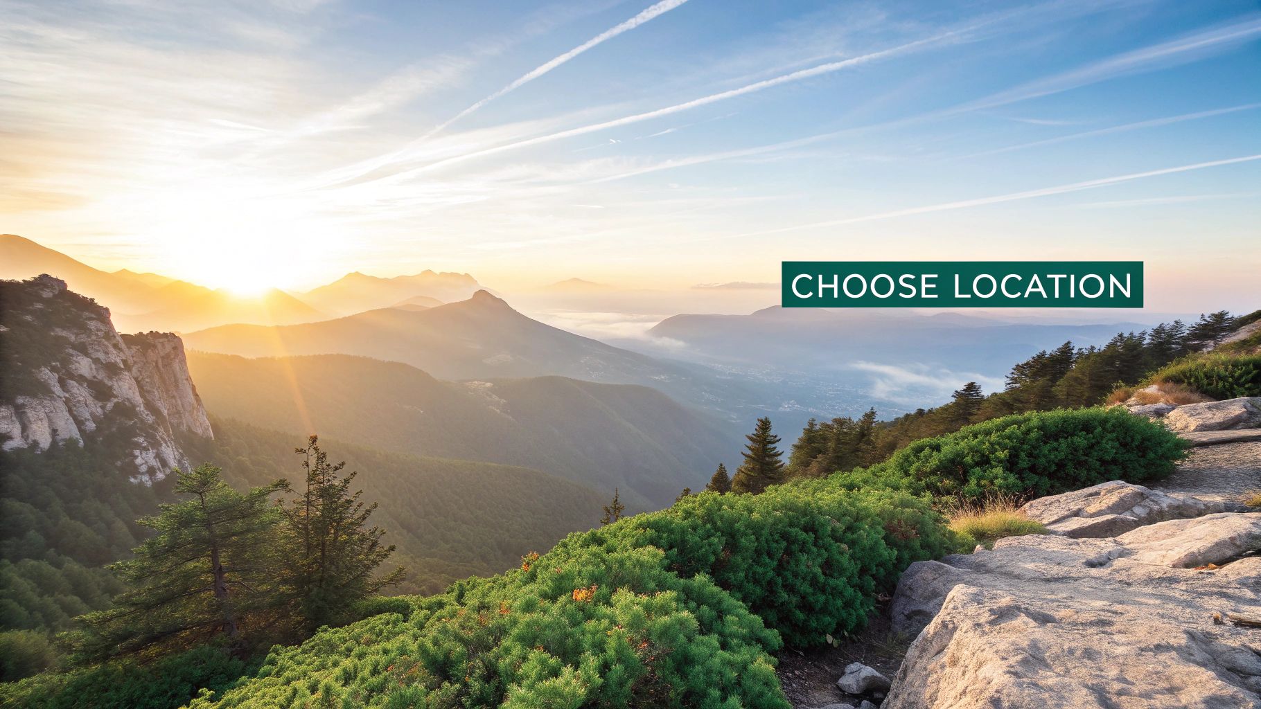 How to Spread Ashes A Guide to Meaningful Farewells Image