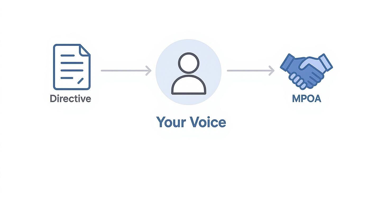 What Is an Advance Directive in Texas Infographic about what is advance directive
